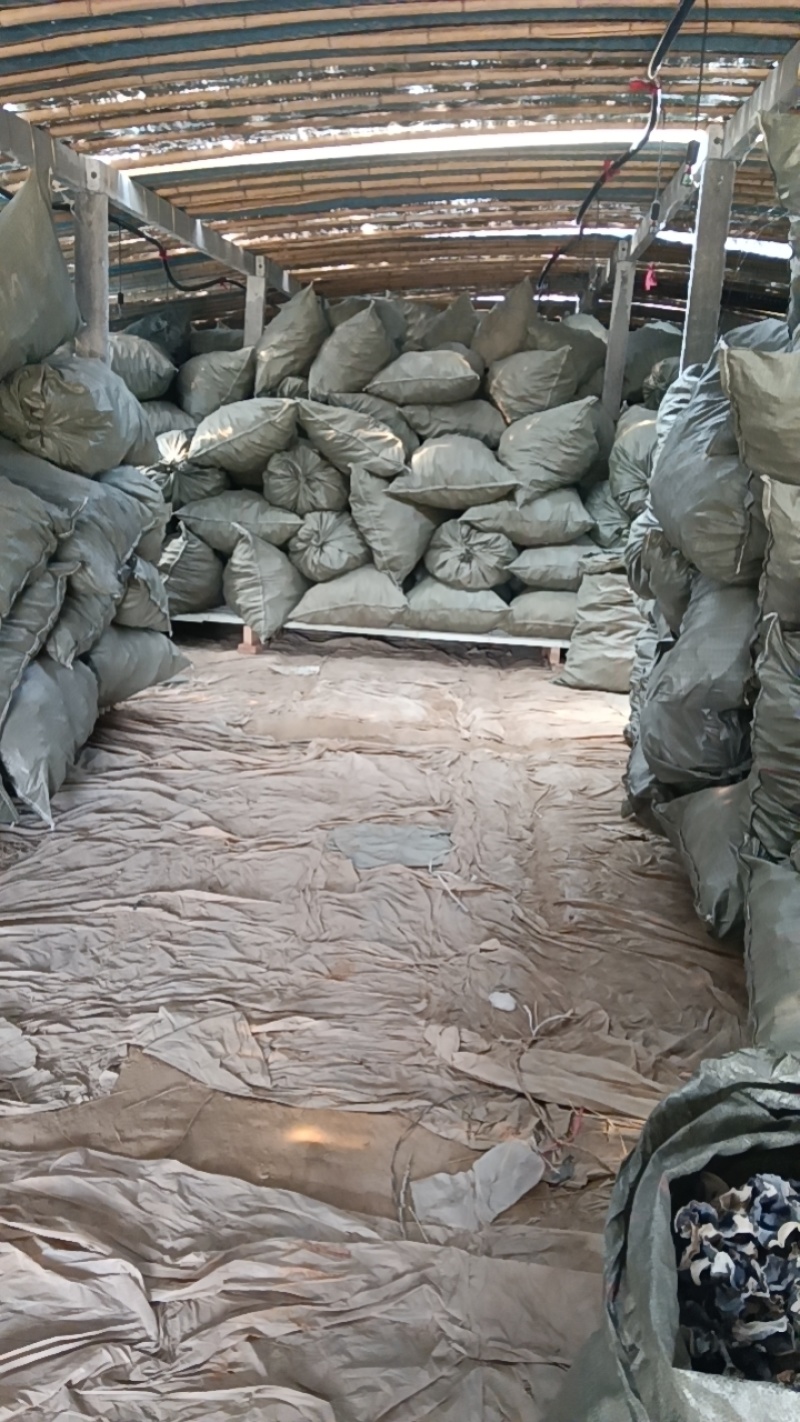 精品木耳丝，无杂质，无熏硫，一手货源，货源稳定