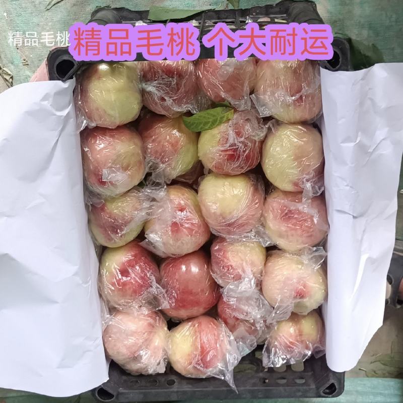 山西红不软系列毛桃有名，燕川红，秦王耐运