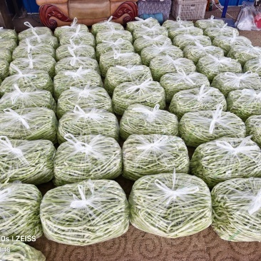 大量上市，质量牛，价格美丽