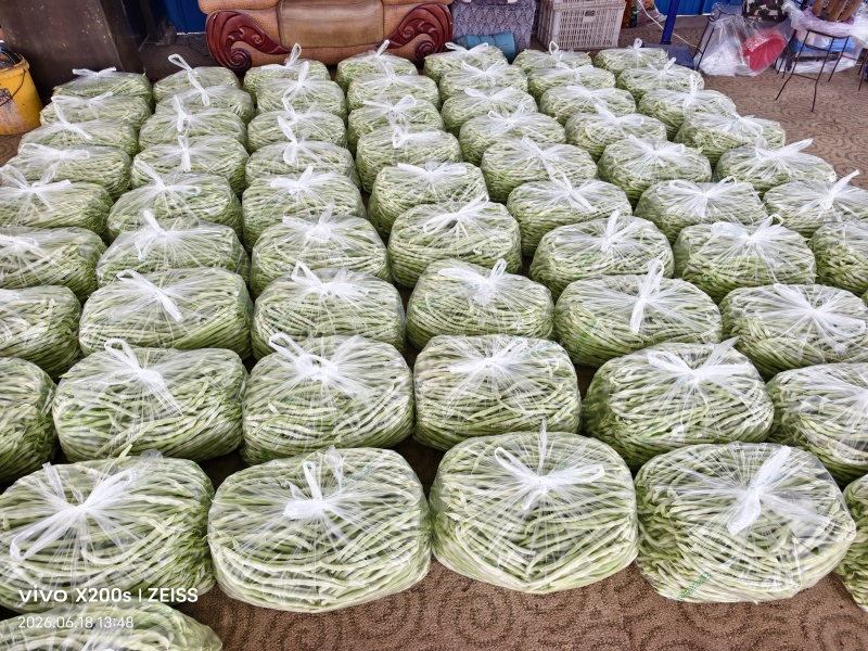 大量上市，质量牛，价格美丽