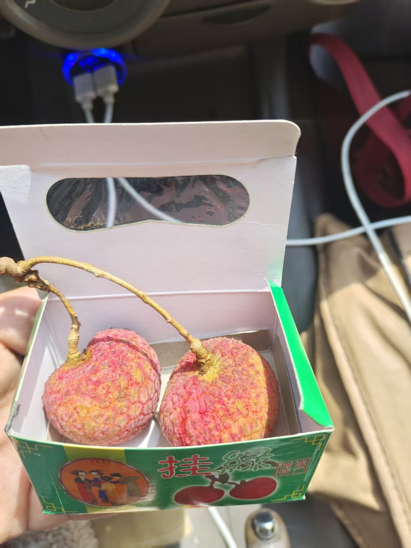 增城挂绿荔枝