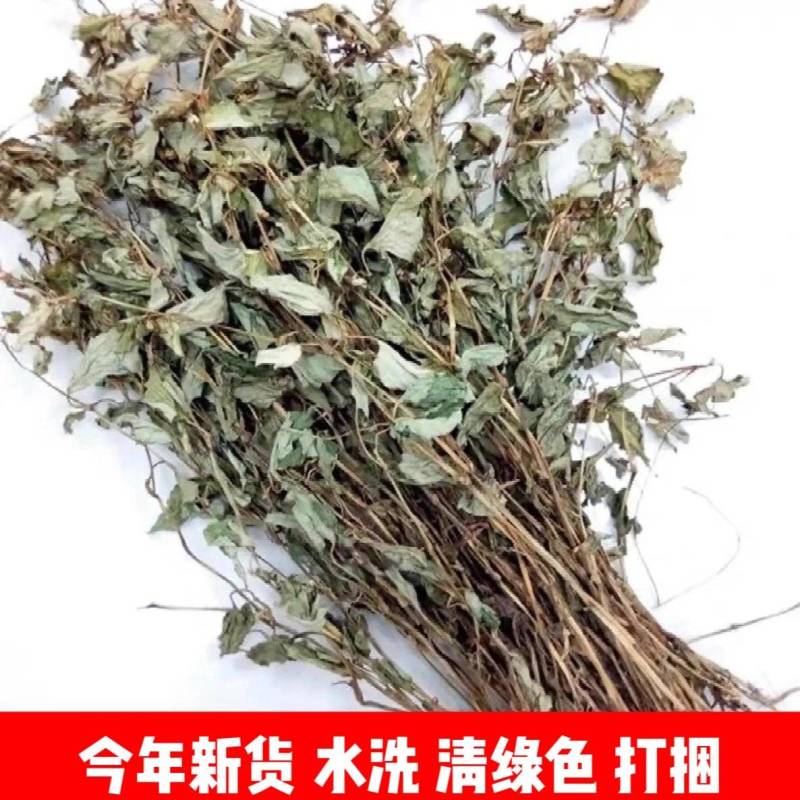 今年新货鱼腥草野生鱼腥草新鲜干货红杆叶绿高含量