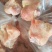 猪脚圈
