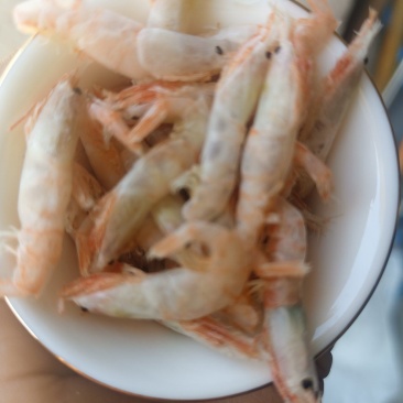 麦穗虾钩子虾蹦蹦虾（纯淡干大个头）加工批发一手货源好货