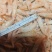 麦穗虾钩子虾蹦蹦虾（纯淡干大个头）加工批发一手货源好货