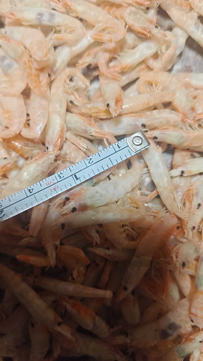 麦穗虾钩子虾蹦蹦虾（纯淡干大个头）加工批发一手货源好货