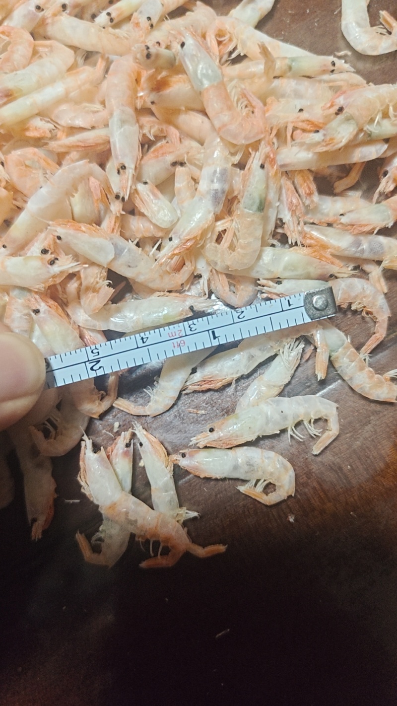 麦穗虾钩子虾蹦蹦虾（纯淡干大个头）加工批发一手货源好货