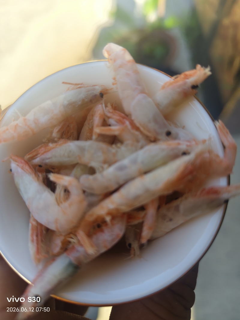 麦穗虾钩子虾蹦蹦虾（纯淡干大个头）加工批发一手货源好货