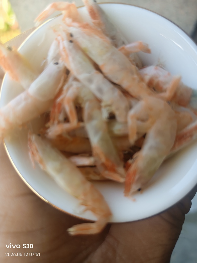 麦穗虾钩子虾蹦蹦虾（纯淡干大个头）加工批发一手货源好货