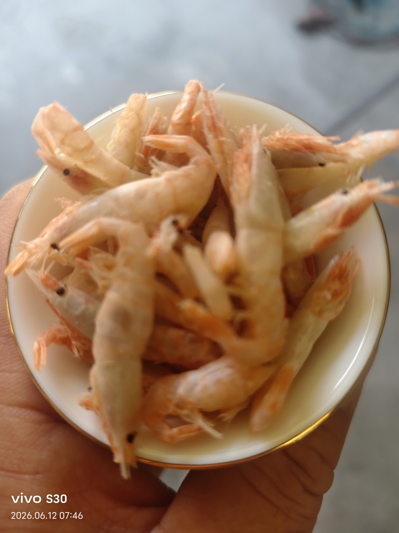 麦穗虾钩子虾蹦蹦虾（纯淡干大个头）加工批发一手货源好货