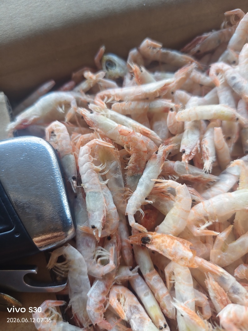 麦穗虾钩子虾蹦蹦虾（纯淡干大个头）加工批发一手货源好货