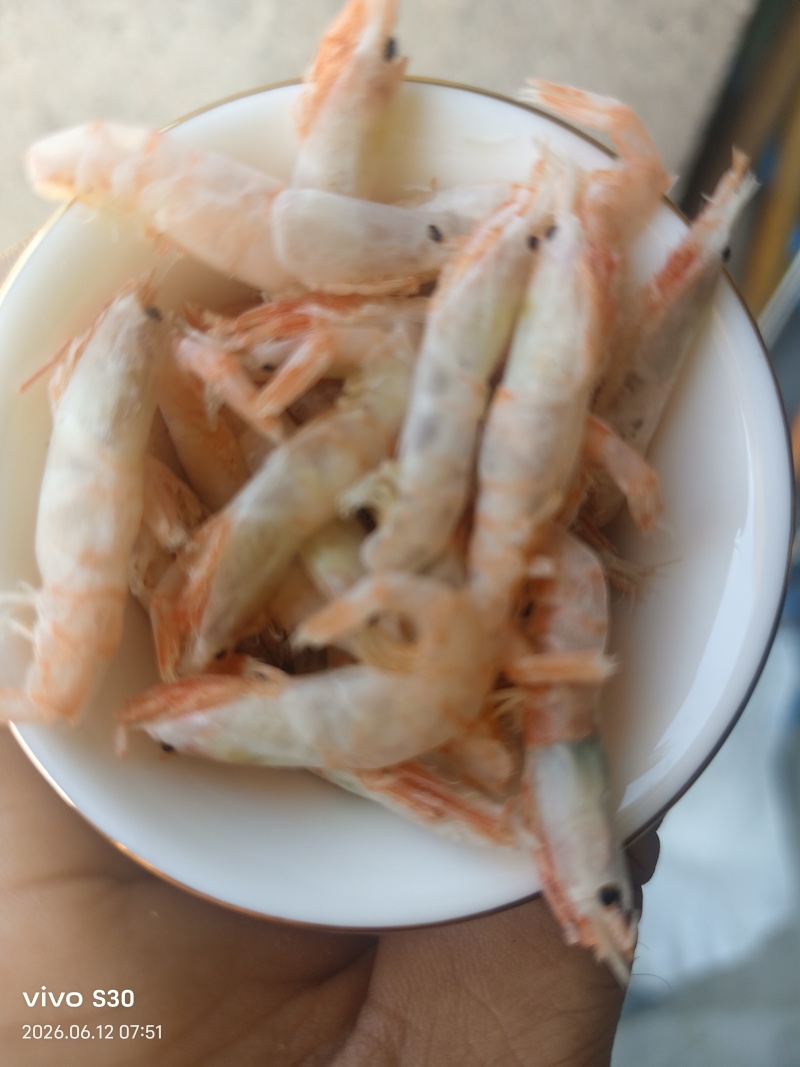 麦穗虾钩子虾蹦蹦虾（纯淡干大个头）加工批发一手货源好货