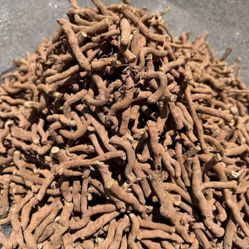 正品***青藤香土木香铁扁担蛇参根天仙藤根冷背奇中药材
