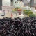 茄子