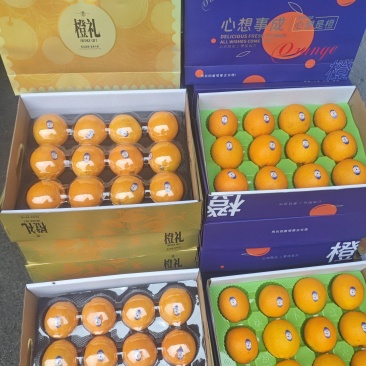 橙子礼盒