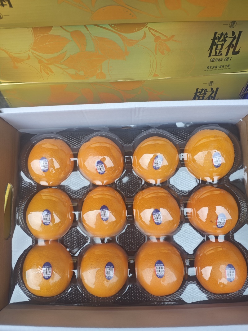 橙子礼盒
