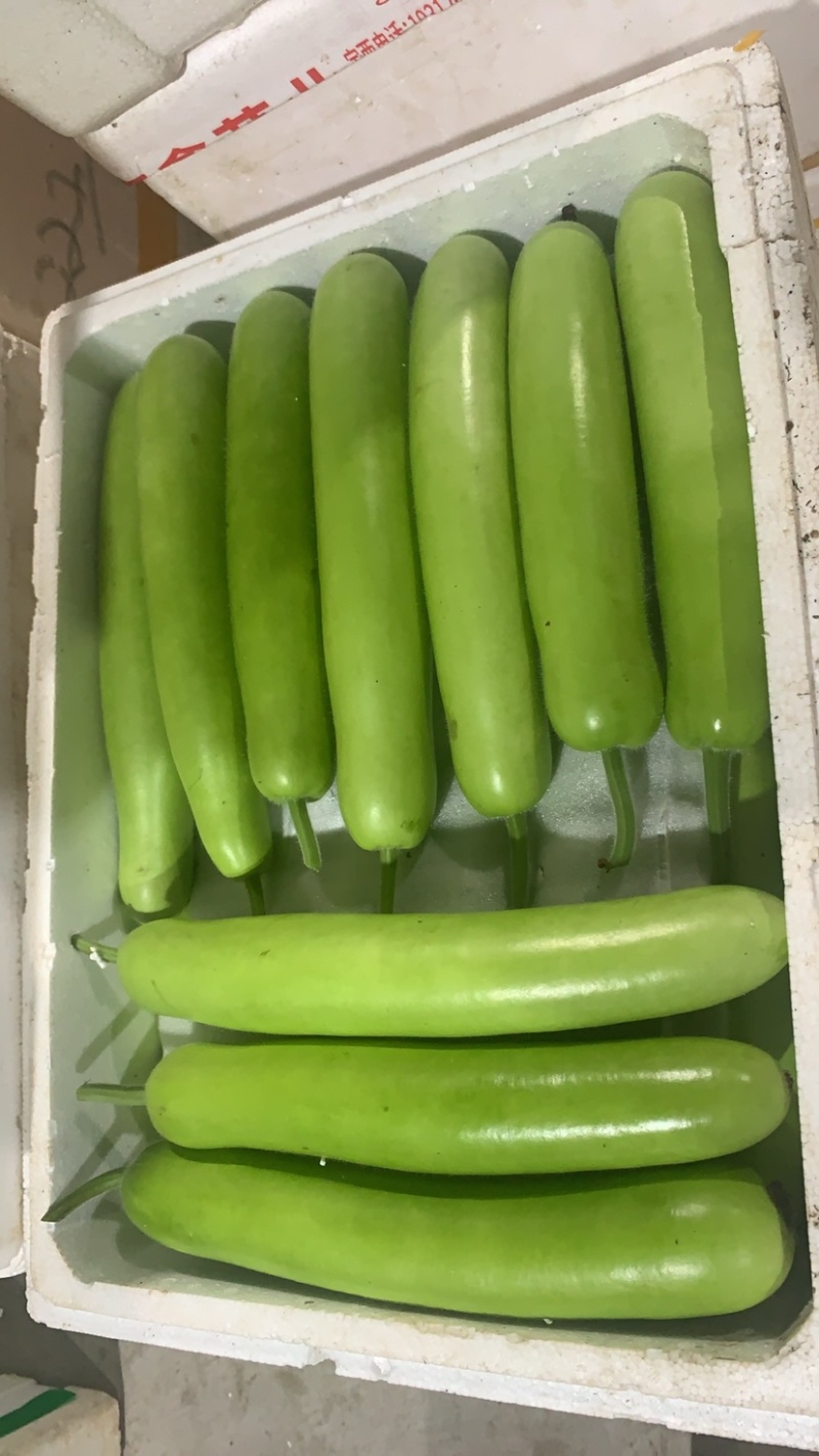 茄子