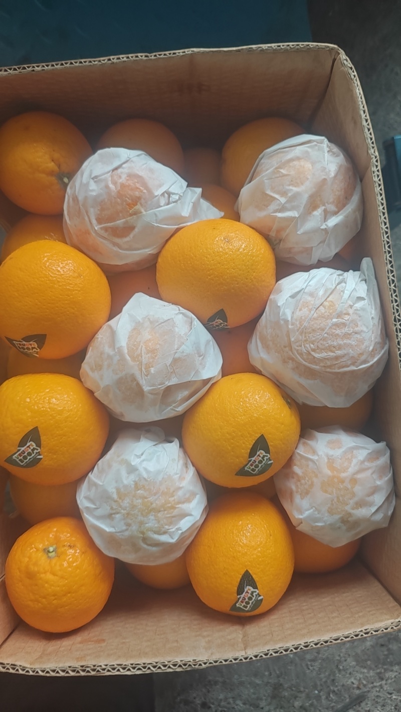 精品埃及橙子，九甜一酸！汁水超多！品质稳定！榨汁神器！价