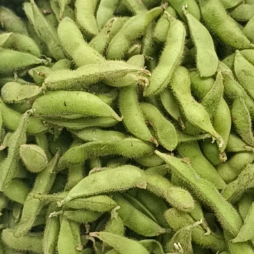 鲜毛豆，甜玉米