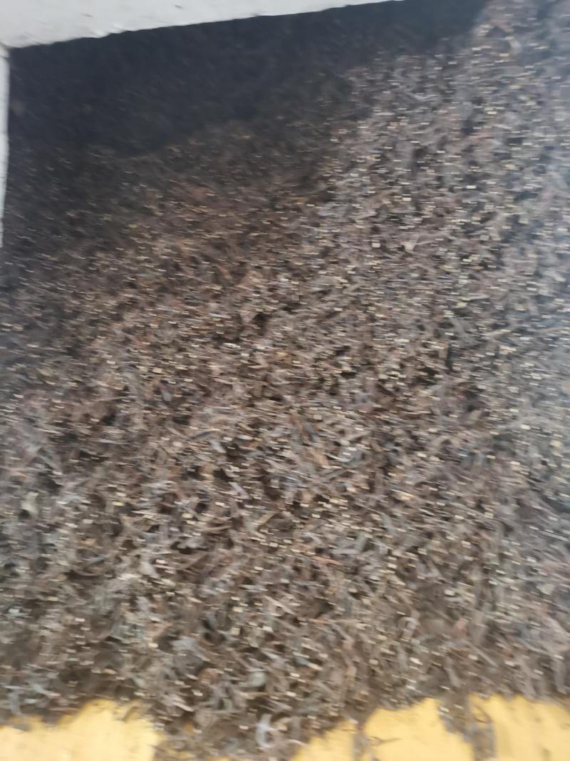 湖南产地钩藤供应商
