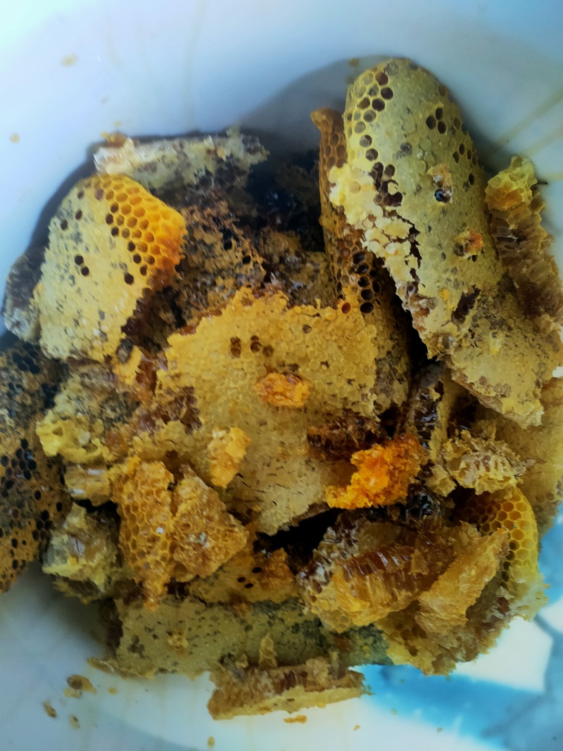 野蜜蜂糖
