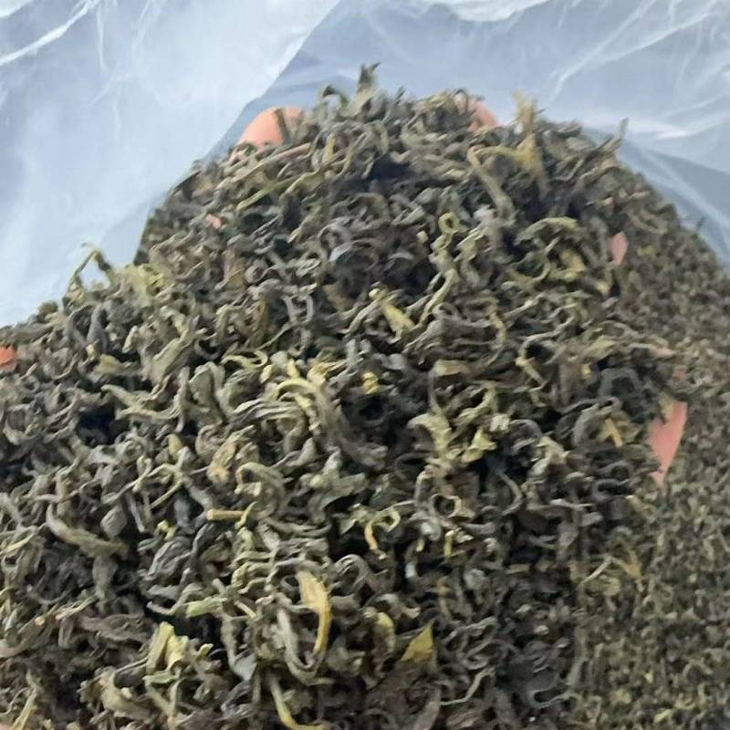 日照绿茶