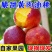 新鲜水果油桃果园产地直发