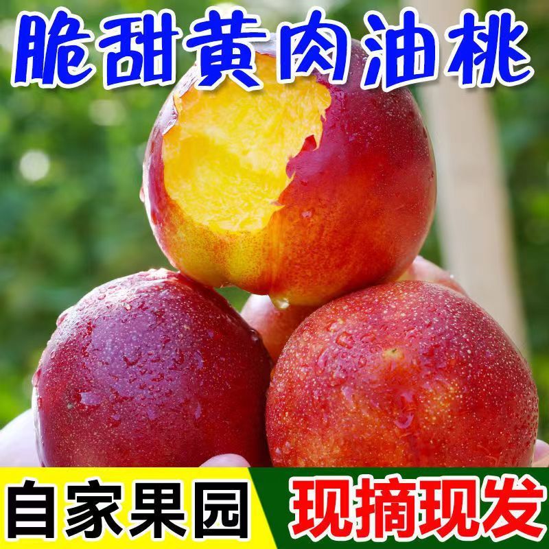 新鲜水果油桃果园产地直发