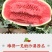 石头瓜/硒砂瓜/宁夏西瓜/品质保证诚信经营对接超市