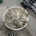 红尾鱼
