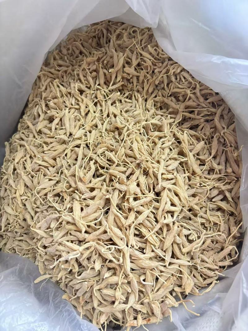 广东清远麦冬大量有货量大从优欢迎老板来电咨询也可视频看货