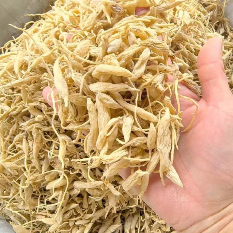 广东清远麦冬大量有货量大从优欢迎老板来电咨询也可视频看货