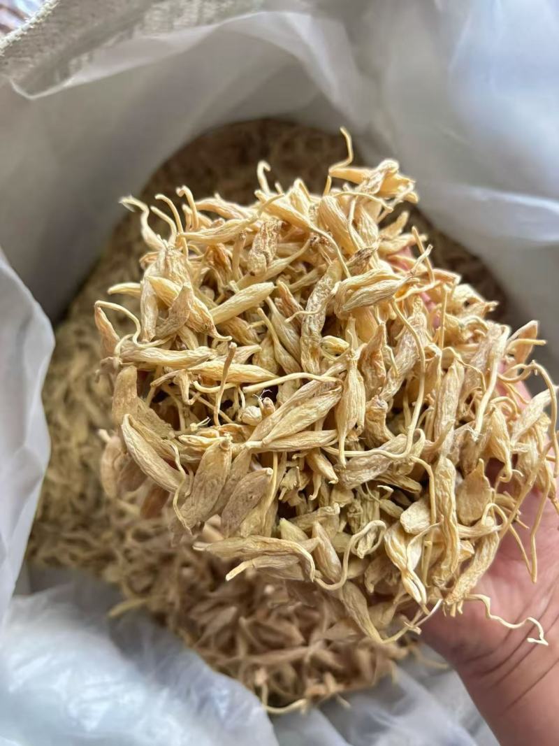 广东麦冬大量有货欢迎老板来电咨询也可视频看货接受预订