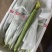精品丝瓜，一手货源，诚信经营，实力带办，