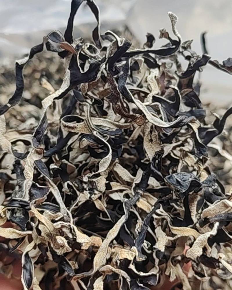 头茬白背毛木耳丝自有加工厂山东原产地直发