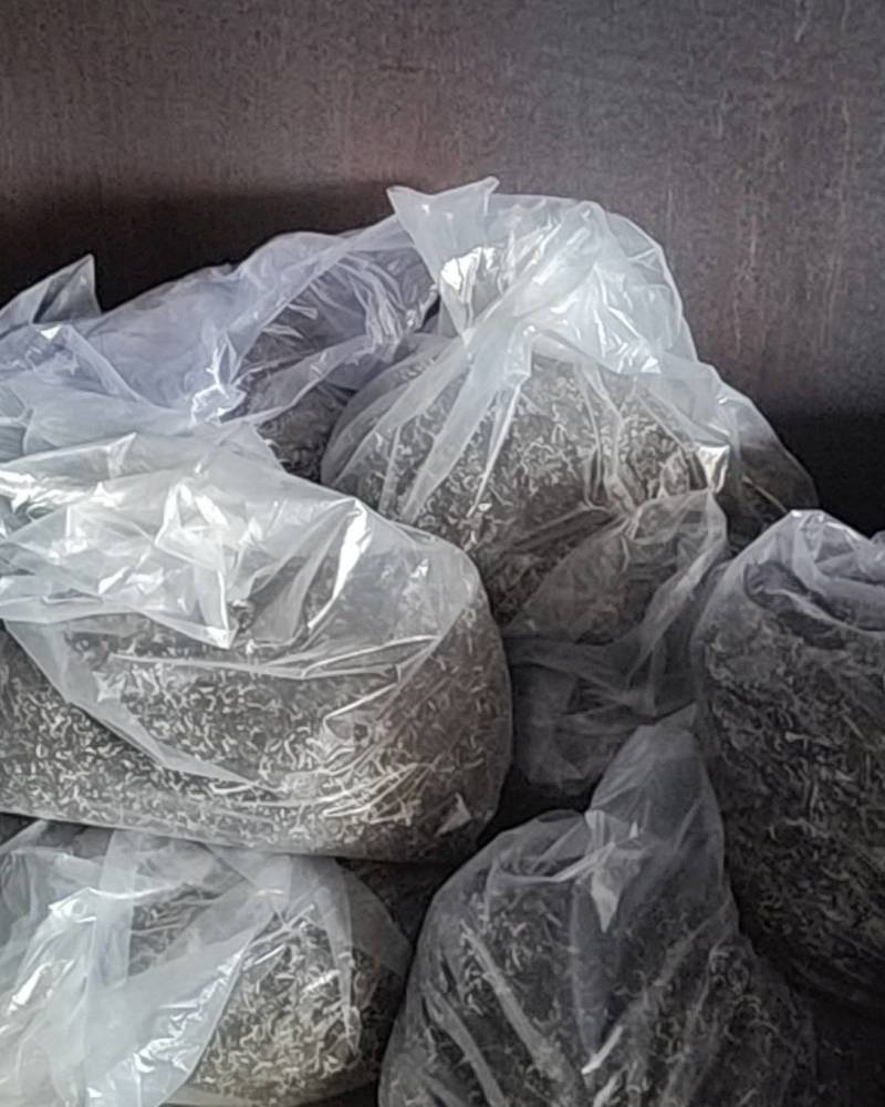 头茬白背毛木耳丝自有加工厂山东原产地直发