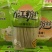 红薯粉丝