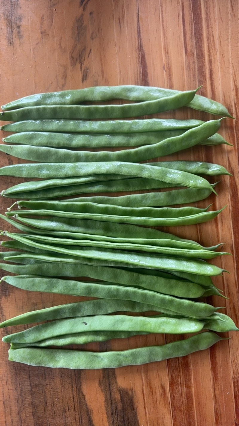 扁豆小金豆任何标准大量有货