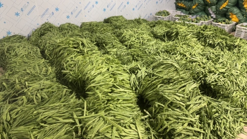 扁豆小金豆任何标准大量有货