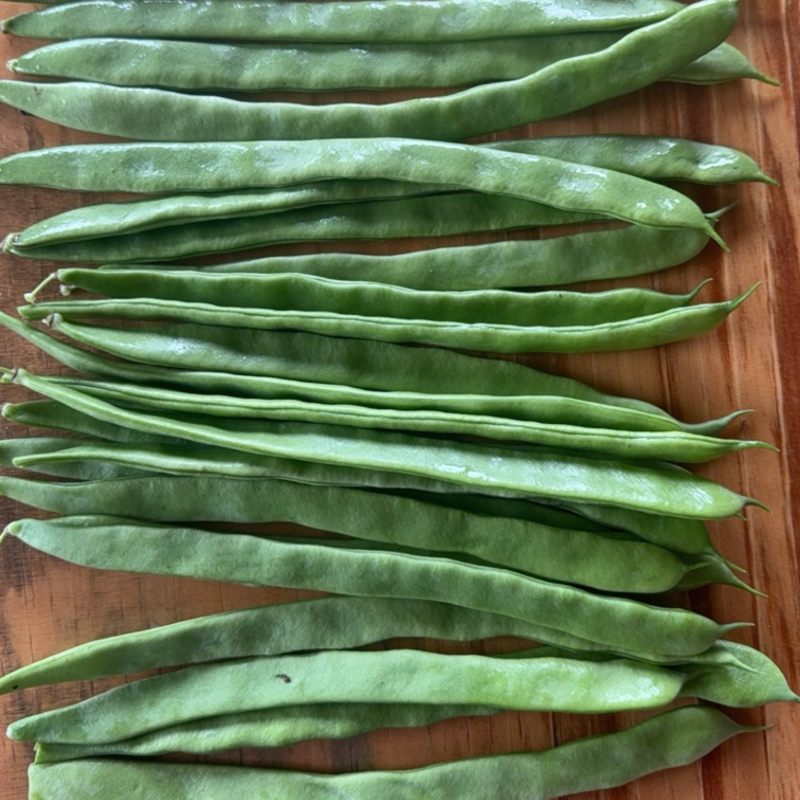 扁豆小金豆任何标准大量有货