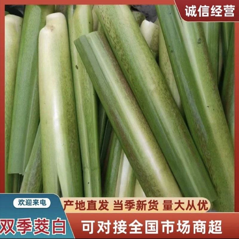 双季茭白美人茭白高笋早茭白产地直发价格美丽