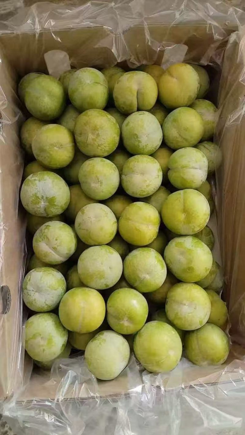 蜂糖李皮青果肉金黄，脆爽多汁纯甜无酸，每年就6-7月出果
