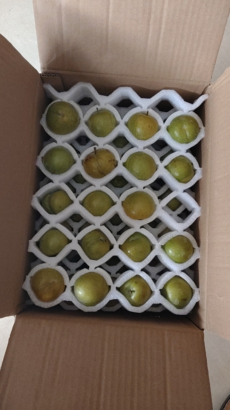 蜂糖李皮青果肉金黄，脆爽多汁纯甜无酸，每年就6-7月出果