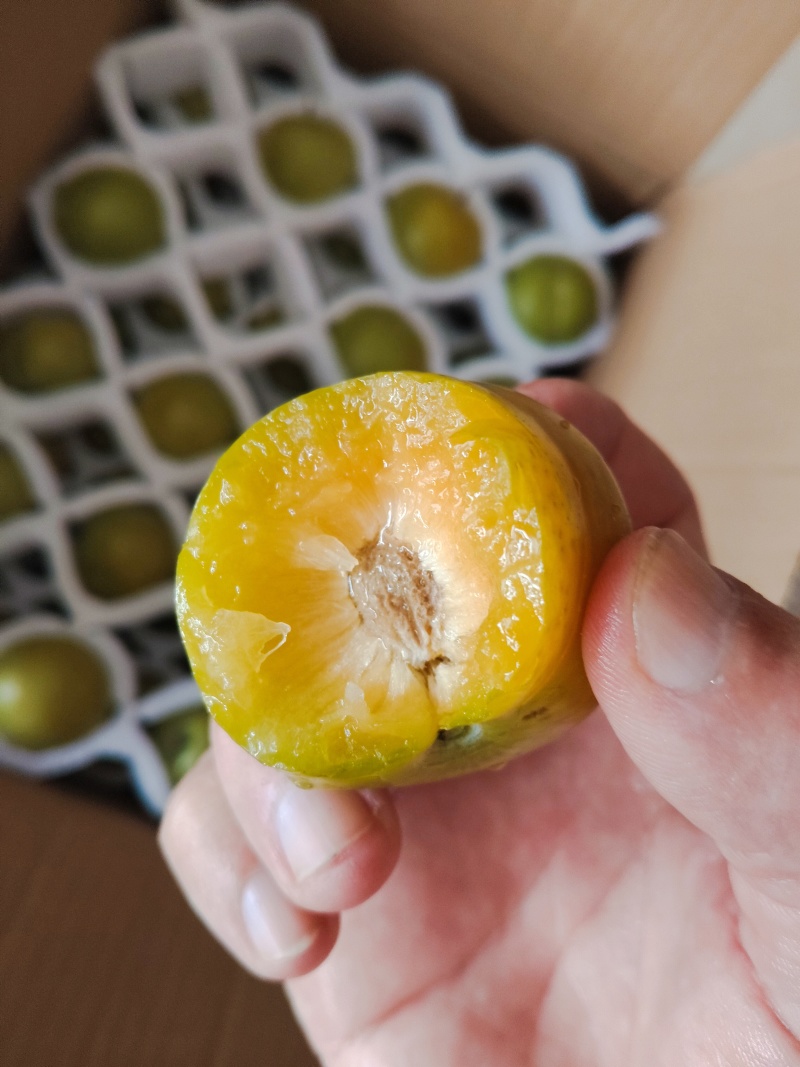 蜂糖李皮青果肉金黄，脆爽多汁纯甜无酸，每年就6-7月出果