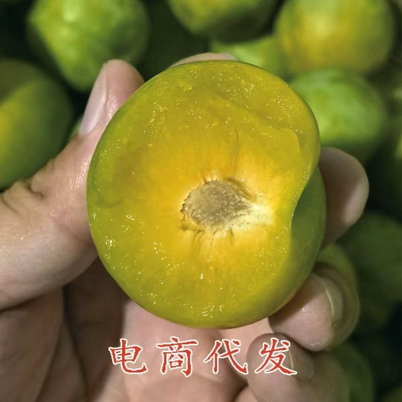 蜂糖李皮青果肉金黄，脆爽多汁纯甜无酸，每年就6-7月出果