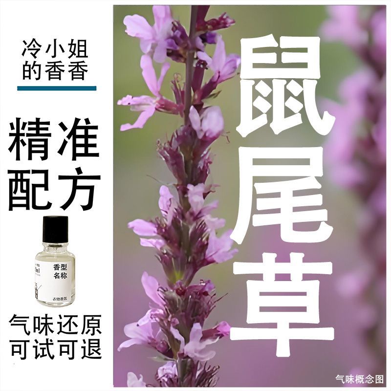 鼠尾草海盐英国梨小苍兰蓝风铃黑莓月桂叶衣物香氛织物香薰喷