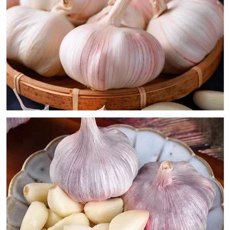 大蒜