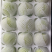 大棚梨