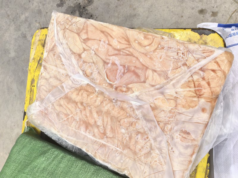 马板肠马套肠精修无油免洗大量现货出称率高