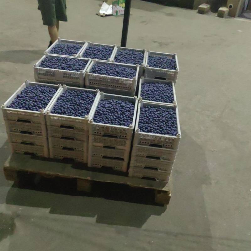 蓝莓冻果